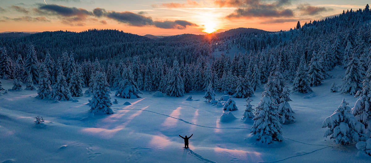 zlatar by Aleksandar Bubanja